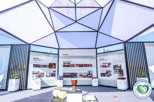 直擊第五屆江蘇志愿服務(wù)展示交流會開幕 蘇州市青年“手繪鄉(xiāng)村”志愿服務(wù)項目特展現(xiàn)場紀實